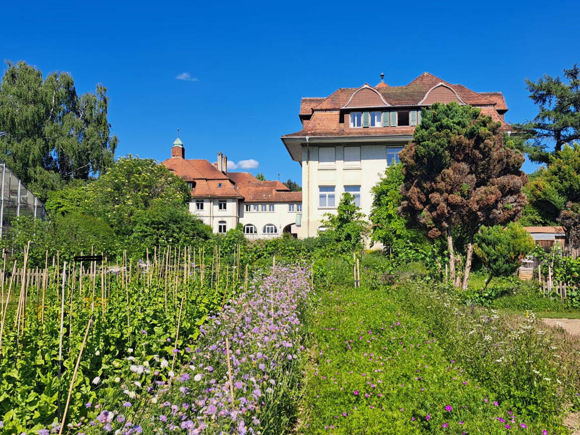 schwand_munsingen_ansicht_von_strasse.jpg schwand_munsingen_ansicht_von_strasse.jpg